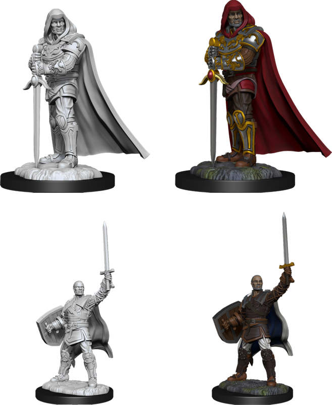 Dungeons & Dragons Nolzur’s Marvelous Miniatures: Human Paladin (Male) | Empire Gaming NC